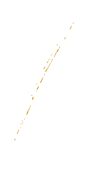 brice tchaga logo